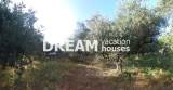 slide1 thumbnail