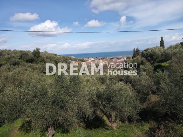 (For Sale) Land Plot || Zakynthos (Zante)/Arkadi - 8.827 Sq.m, 400.000€ 