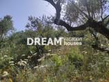 slide1 thumbnail