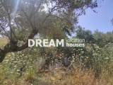 slide1 thumbnail