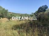 slide1 thumbnail