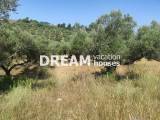 slide1 thumbnail