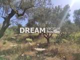 slide1 thumbnail