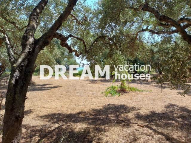 (En vente) Valorisation de la Terre Terrain || Zakynthos (Zante)/Alikes - 5.500 M2, 650.000€ 