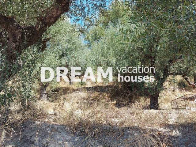 (En vente) Valorisation de la Terre Terrain || Zakynthos (Zante)/Alikes - 900 M2, 65.000€ 
