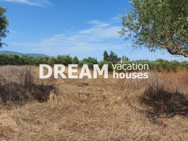 (En vente) Valorisation de la Terre Terrain || Zakynthos (Zante)/Arkadi - 8.071 M2, 220.000€ 