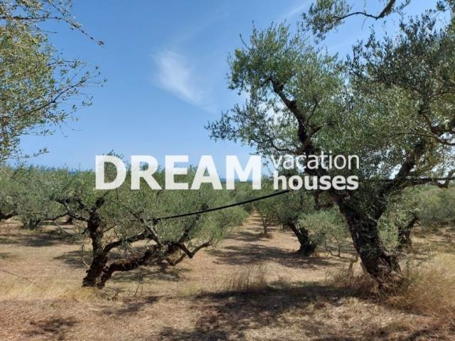 (En vente) Valorisation de la Terre Terrain || Zakynthos (Zante)/Arkadi - 7.500 M2, 270.000€ 