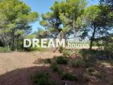 slide1 thumbnail