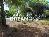 slide1 thumbnail