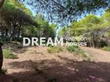 slide1 thumbnail