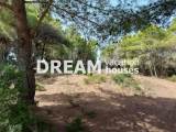 slide1 thumbnail
