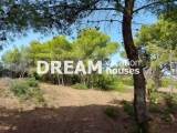 slide1 thumbnail