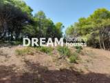 slide1 thumbnail
