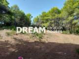 slide1 thumbnail