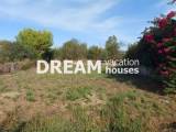 slide1 thumbnail