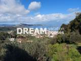 slide1 thumbnail