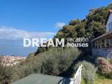slide1 thumbnail
