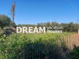 slide1 thumbnail