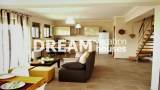 slide1 thumbnail