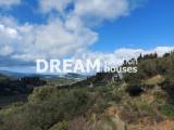 slide1 thumbnail