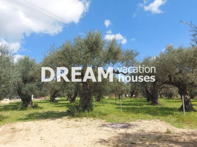 (For Sale) Land Plot || Zakynthos (Zante)/Laganas - 1.000 Sq.m, 65.000€ 