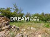 slide1 thumbnail