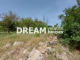 slide1 thumbnail