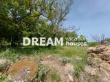 slide1 thumbnail