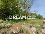 slide1 thumbnail