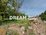 slide1 thumbnail