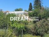 slide1 thumbnail