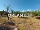 slide1 thumbnail