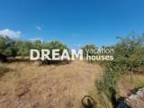 slide1 thumbnail