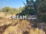 slide1 thumbnail