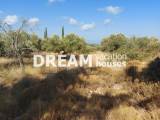slide1 thumbnail