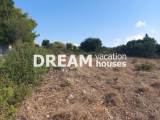 slide1 thumbnail