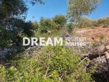 slide1 thumbnail