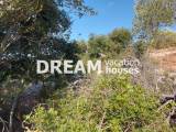 slide1 thumbnail