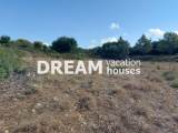 slide1 thumbnail