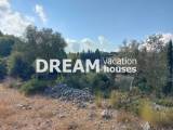 slide1 thumbnail