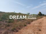 slide1 thumbnail