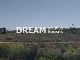 slide1 thumbnail
