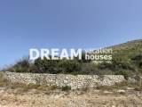 slide1 thumbnail