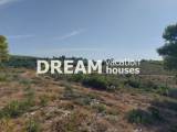 slide1 thumbnail