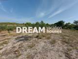 slide1 thumbnail