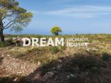 slide1 thumbnail