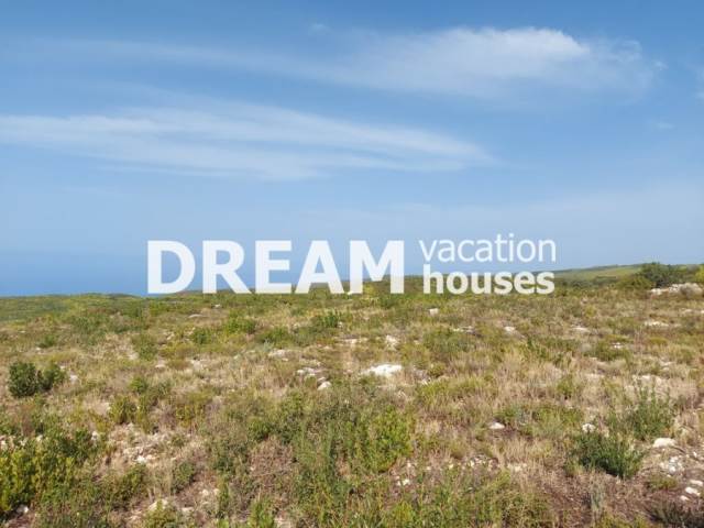 (For Sale) Land Agricultural Land  || Zakynthos (Zante)/Laganas - 9.000 Sq.m, 95.000€ 