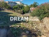 slide1 thumbnail