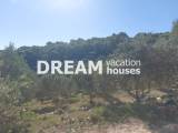 slide1 thumbnail