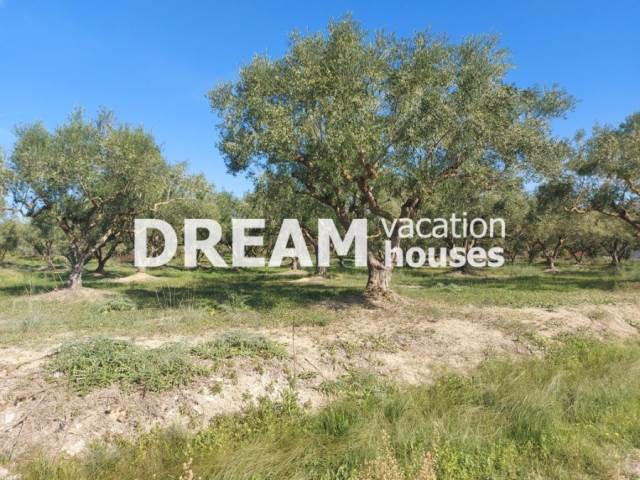 (For Sale) Land Agricultural Land  || Zakynthos (Zante)/Laganas - 4.000 Sq.m, 69.000€ 